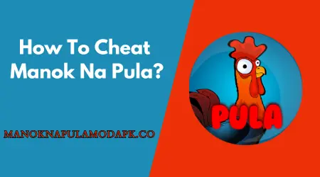How To Cheat Manok Na Pula?